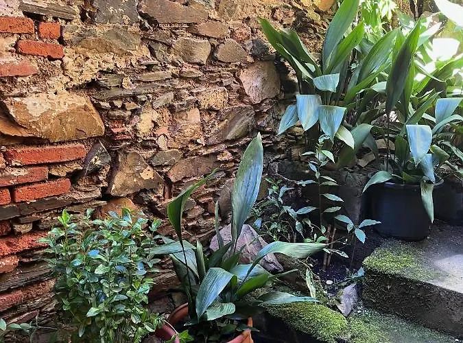 公寓 Arco Del Tinte 10 瓜达卢佩